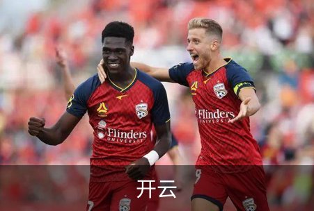了解开云