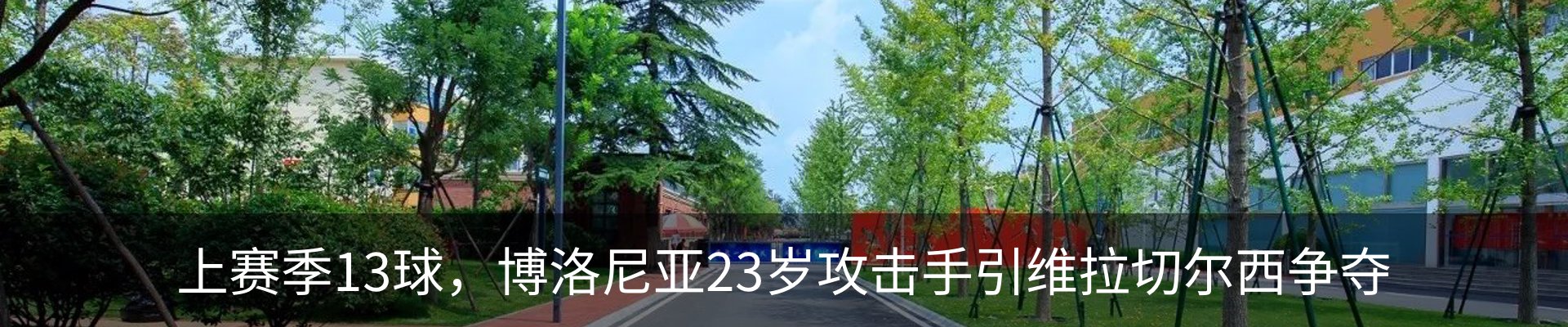 新闻动态