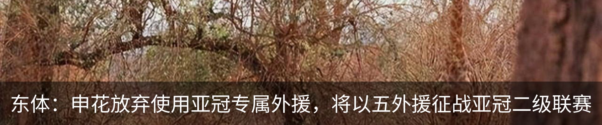 新闻动态