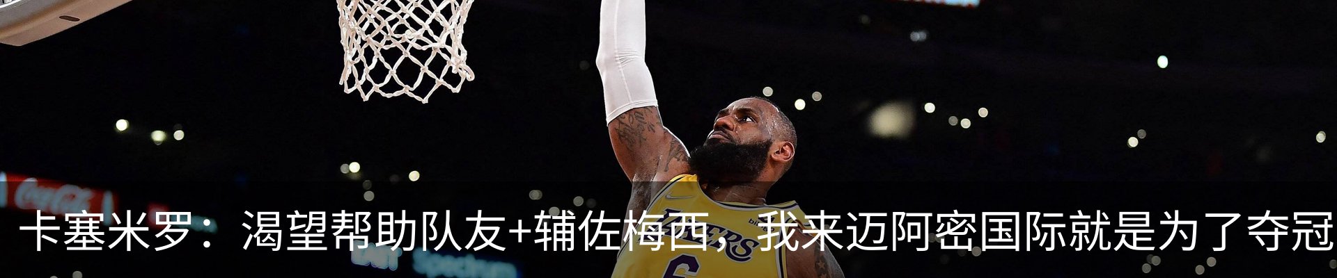 新闻动态