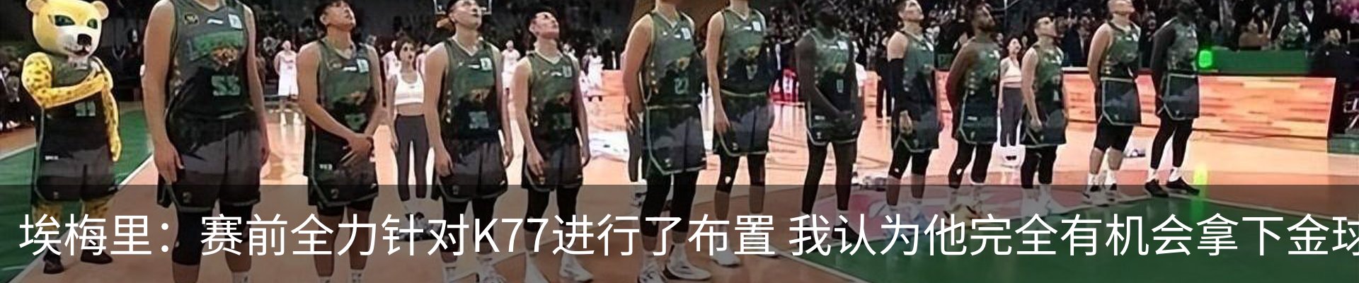 新闻动态