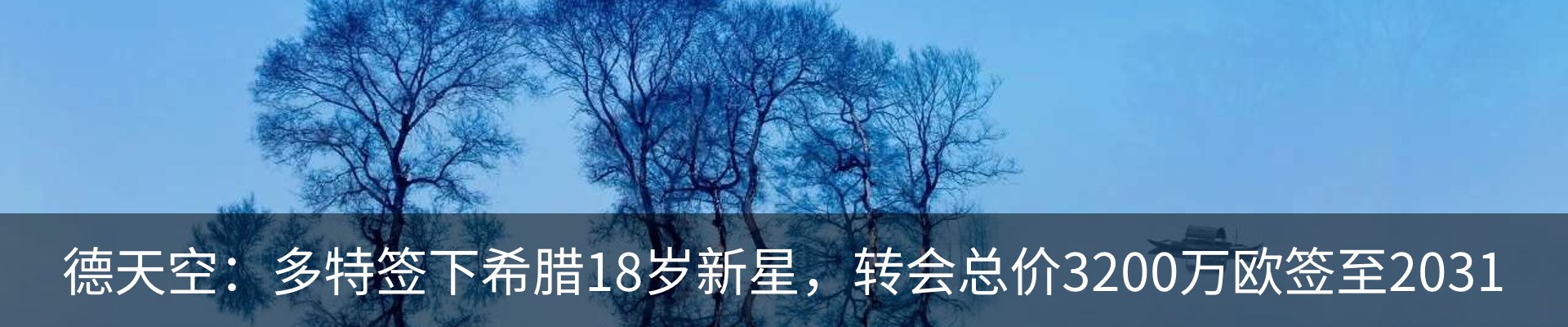 新闻动态