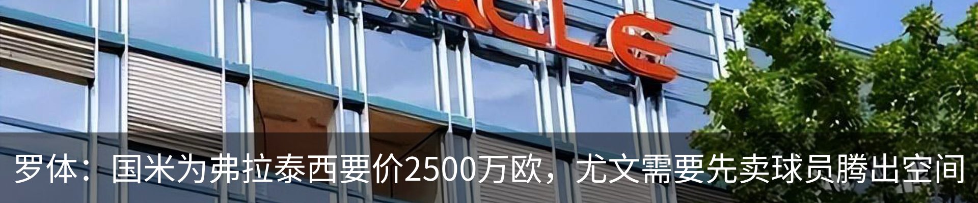 新闻动态