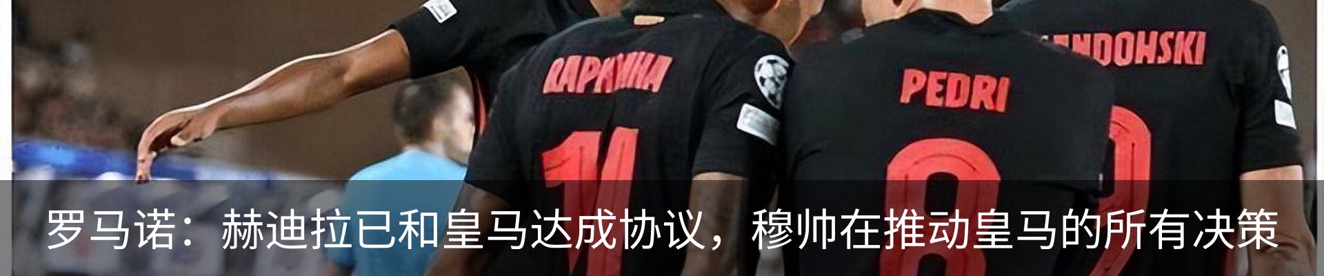 新闻动态