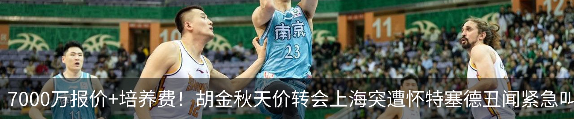 新闻动态