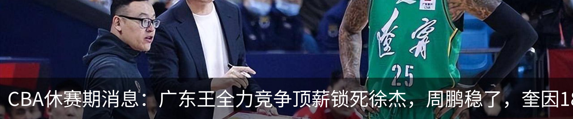 新闻动态