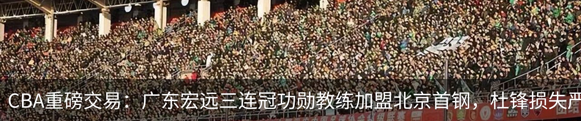 新闻动态