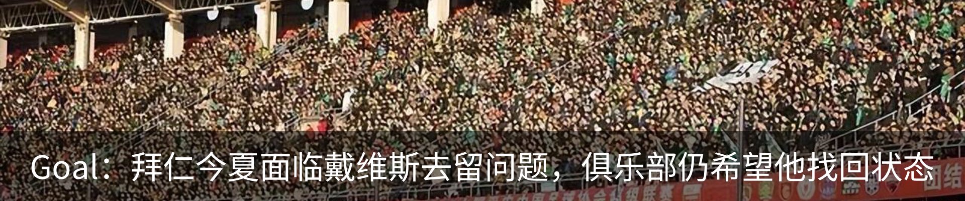 新闻动态