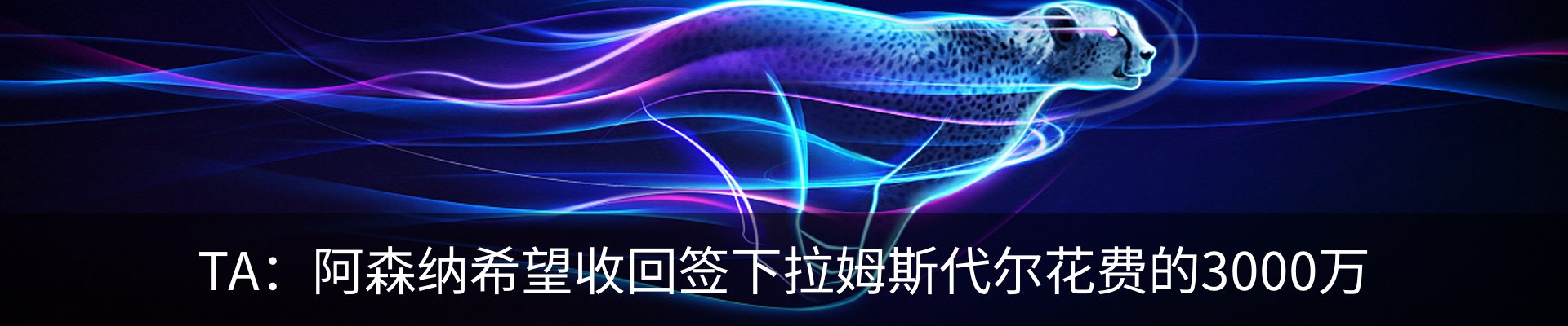 新闻动态