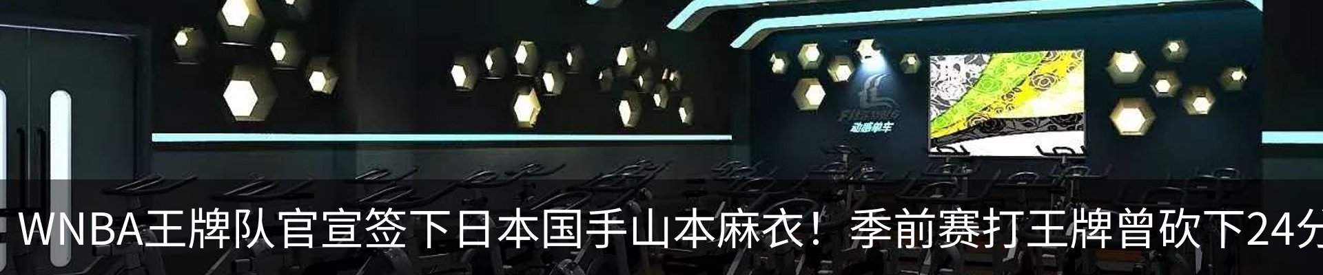 新闻动态